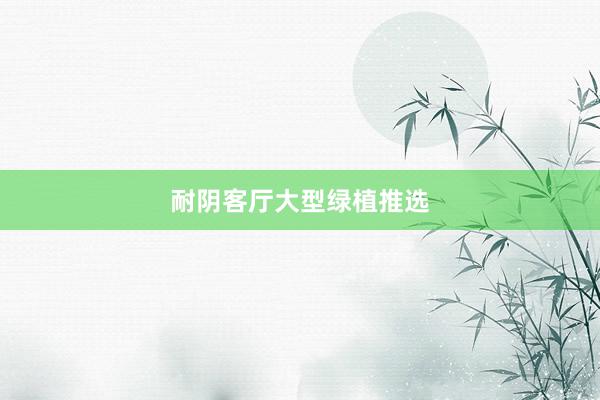 耐阴客厅大型绿植推选