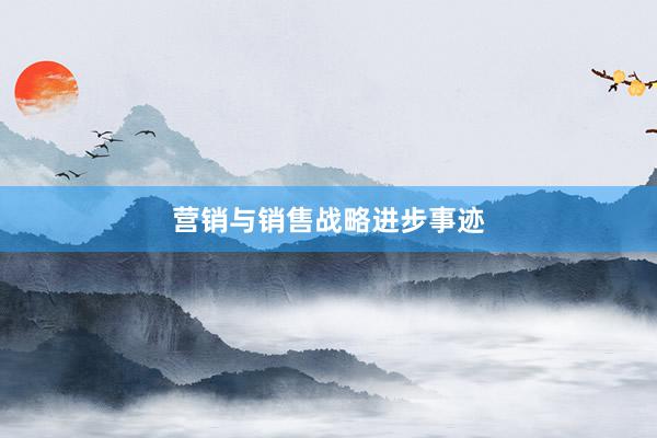 营销与销售战略进步事迹